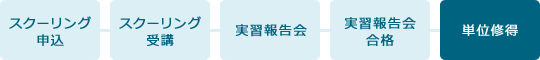 研究実習(スクーリング) フロー図