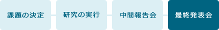 特別研究 フロー図